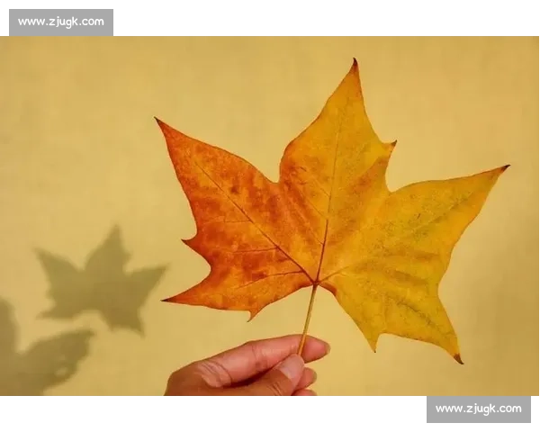 谁是最佳绿叶那些被低估的助攻高手，让人心疼